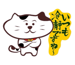 Flatter! tortoiseshell cat! 3 sticker #3531089