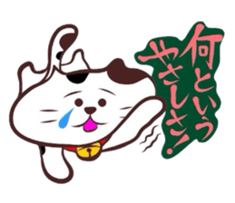 Flatter! tortoiseshell cat! 3 sticker #3531093