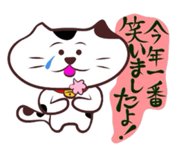 Flatter! tortoiseshell cat! 3 sticker #3531096