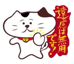 Flatter! tortoiseshell cat! 3 sticker #3531107