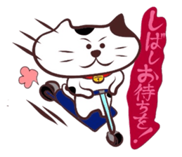 Flatter! tortoiseshell cat! 3 sticker #3531112