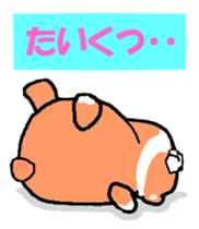 Takako bear sticker #3534268