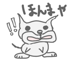 Cona sticker #3537195