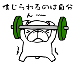 Having the Flat Wrinkled Face of Dogs sticker #3537681