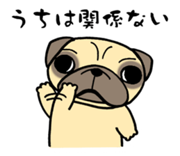 Having the Flat Wrinkled Face of Dogs sticker #3537684