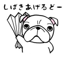 Having the Flat Wrinkled Face of Dogs sticker #3537687