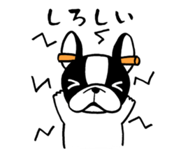 Having the Flat Wrinkled Face of Dogs sticker #3537694