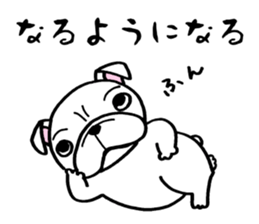 Having the Flat Wrinkled Face of Dogs sticker #3537701