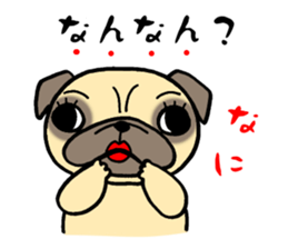 Having the Flat Wrinkled Face of Dogs sticker #3537707