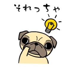 Having the Flat Wrinkled Face of Dogs sticker #3537709