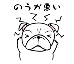 Having the Flat Wrinkled Face of Dogs sticker #3537710