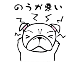 Having the Flat Wrinkled Face of Dogs sticker #3537710