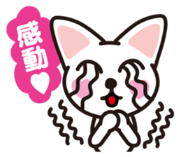 white cat shiro sticker #3538254