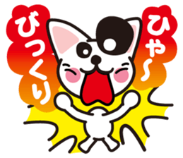 white cat shiro sticker #3538258