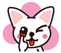 white cat shiro sticker #3538259