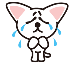 white cat shiro sticker #3538268