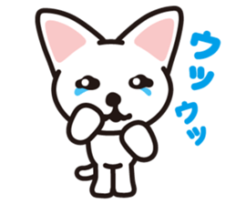 white cat shiro sticker #3538269