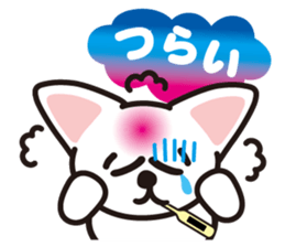white cat shiro sticker #3538271