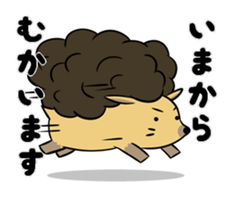 Afro hedgehog Sticker sticker #3540566