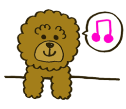 A toy poodle has round hair sticker #3540996