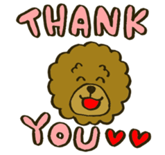 A toy poodle has round hair sticker #3540999