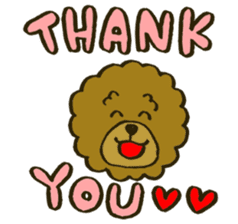 A toy poodle has round hair sticker #3540999