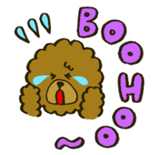 A toy poodle has round hair sticker #3541002