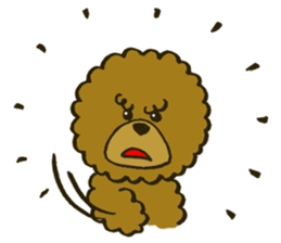 A toy poodle has round hair sticker #3541004