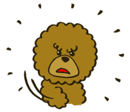 A toy poodle has round hair sticker #3541004