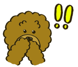 A toy poodle has round hair sticker #3541007