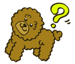 A toy poodle has round hair sticker #3541008