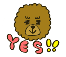 A toy poodle has round hair sticker #3541010