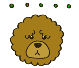 A toy poodle has round hair sticker #3541013