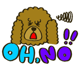 A toy poodle has round hair sticker #3541014