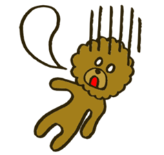 A toy poodle has round hair sticker #3541015