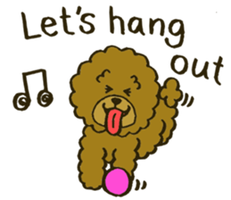 A toy poodle has round hair sticker #3541020