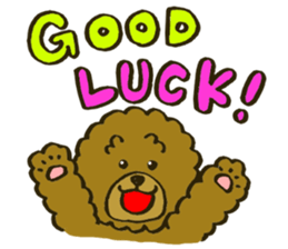 A toy poodle has round hair sticker #3541023