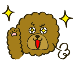 A toy poodle has round hair sticker #3541027