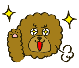 A toy poodle has round hair sticker #3541027