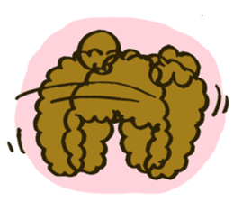 A toy poodle has round hair sticker #3541028