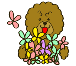 A toy poodle has round hair sticker #3541032