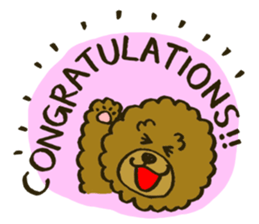 A toy poodle has round hair sticker #3541033