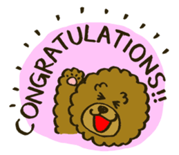 A toy poodle has round hair sticker #3541033