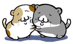 NikuQman & omochimaru - cat hero sticker #3542648