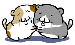 NikuQman & omochimaru - cat hero sticker #3542648