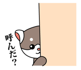 Ferret! sticker #3544124