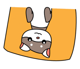Ferret! sticker #3544137