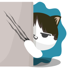 why ? cats. Why is your name "WHY"?