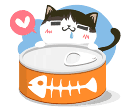 why ? cats. Why is your name "WHY"? sticker #3545154