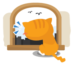 why ? cats. Why is your name "WHY"? sticker #3545161